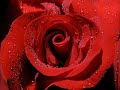 احلى مجوز (انس طباش )