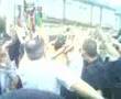 chelum jaloos