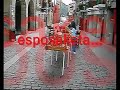 larrabetzu aretxabala perretxiko eguna 2006