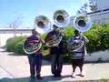 tubas playing pink panther