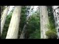 Sunshine Coast Watershed logging in BC