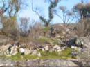 Grampians