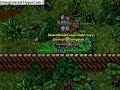 So low 8th banuta specjal for MASTERINHO KNIGHT(112ek FROM CANDIA)