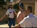 ANIMAL DISTURBANCE ANIMAL DISTURBANCE