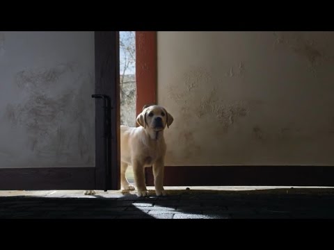 Super Bowl Ads Kick Off Early This Year