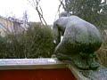 Hard snow begins to fall
