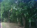 Our Home in Rangamati