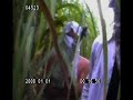 Tehelka Investigation: The Easy Way To Arms: Part 1 Tehelka Investigation: The Easy Way To Arms: Part 1