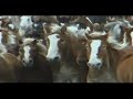 red steagall music video featuring cowboys driving 400 horses through mountain snow