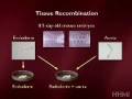 videos de hhmi's stem cells - coaxing embryonic stem cells 4 of 6