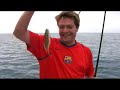 pesca vilanova i la geltru pesca vilanova i la geltru