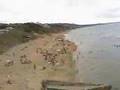 SINOP