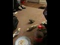 Da baby discovered a tasty treat