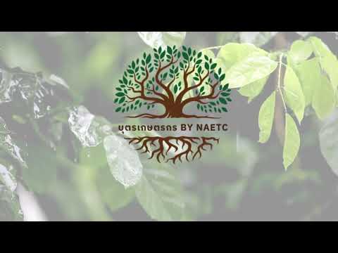 ขยายพันธุุ์พืช สร้างมูลค่า