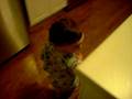 videos de 003.AVI