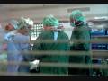 videos de Amateur Transplants 0001