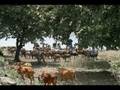 ethiopia-debre zeit