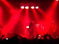Babyshambles Live in Bologna 2008: Delivery