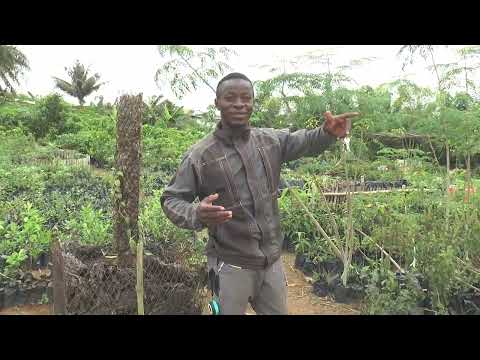 MAG-CHALLANGE PLANTAIN 2026 SALON INTERNATIONAL DU 14 au 18 MAI