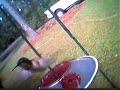 Rufous Hummingbird in Tallahassee