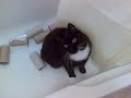 Spenny in the Bath