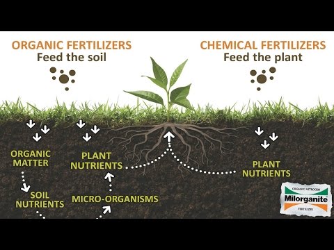 how to fertilize grass naturally