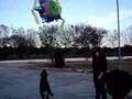 ROTTWEILER VS. PIÑATA