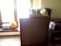 6BG6GA in a 6L6 tube amplifier