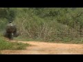 Vaccinating 85 million West and Central African children against polio