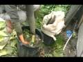 videos de Recovering farm and household waste