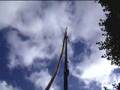 50 foot tall makes a supersonic BANG 50 foot tall makes a supersonic BANG
