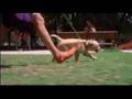 Elena Anaya Tribute