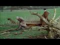Forspan Gosford Park