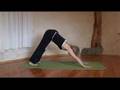 YOGA, DOWNWARD FACING DOG,With Esther Ekhart