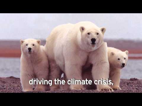 TAKE ACTION today to protect wildlife from tar sands!