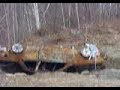 ak-47, 8 explosive targets equels KABOOM ak-47, 8 explosive targets equels KABOOM