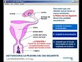 Asi Funciona la Pildora del día Siguiente