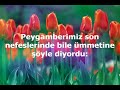 Namaz Dinin Direği Gözün Nuru Müminin Miracı -3