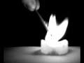 stop-motion