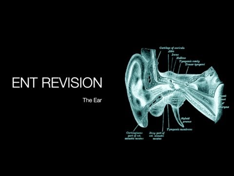 Ent - Revision guide with demonstration, explanation & child exam.