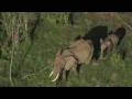 Tournage Home : Kenya