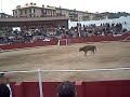 concurso de recortadores de estella(navarra)