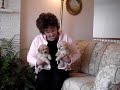 Welcome to Labradoodles of Oregons Welcome to Labradoodles of Oregons