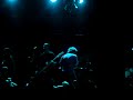 dead fish - queda livre