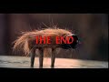 Mortal Kombat- Enter the Dragon