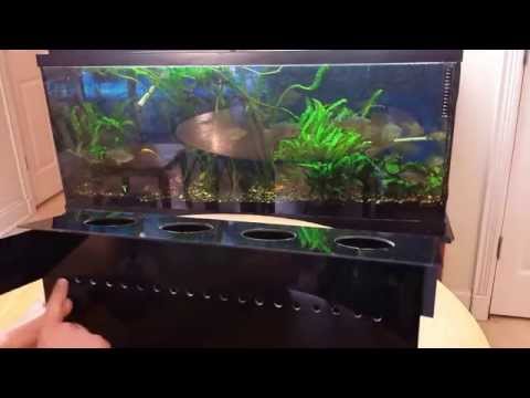 how to turn aquarium into aquaponics