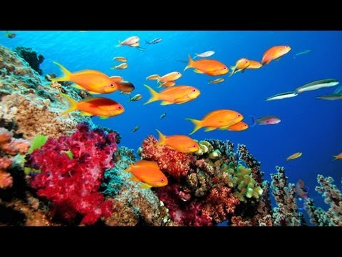 Image de prévisualisation YouTube