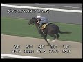 [調教] 080625 ダイワエンパイア 「鶴ヶ城特別」前追い切り