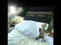 Tawaf Hajj 2006-2007