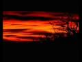 Paprika Korps - Overdub the life-line